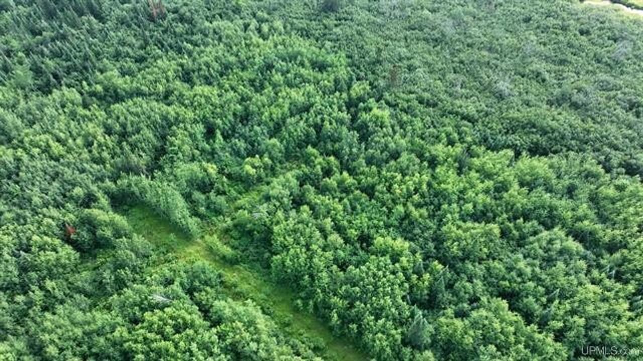 Parcel A-2 40 Acres 50160028
