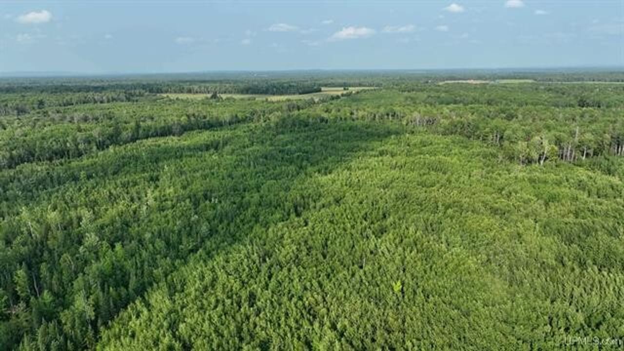 Parcel A-2 40 Acres 50160028