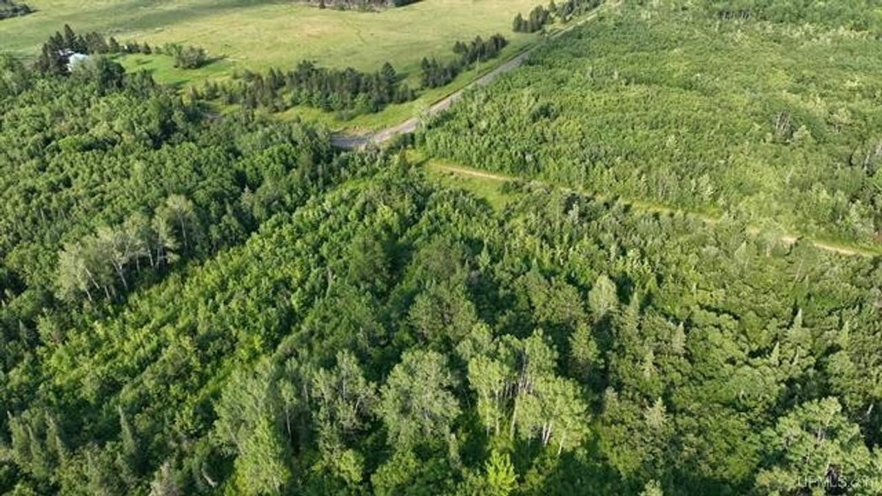 Parcel A-2 40 Acres 50160028