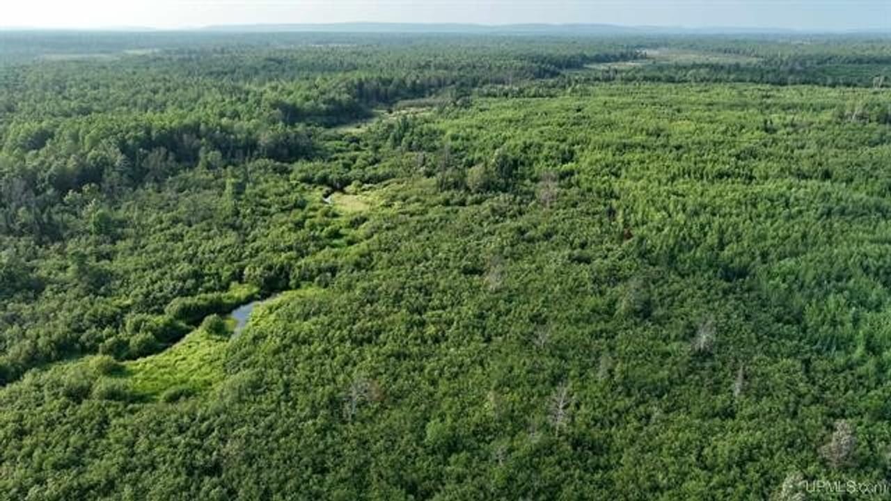 Parcel A-2 40 Acres 50160028