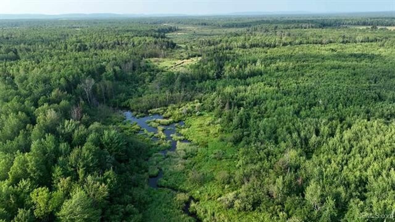 Parcel A-2 40 Acres 50160028