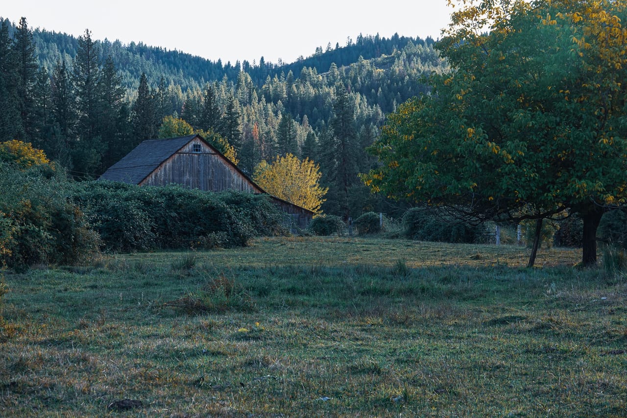 Listing Image 7