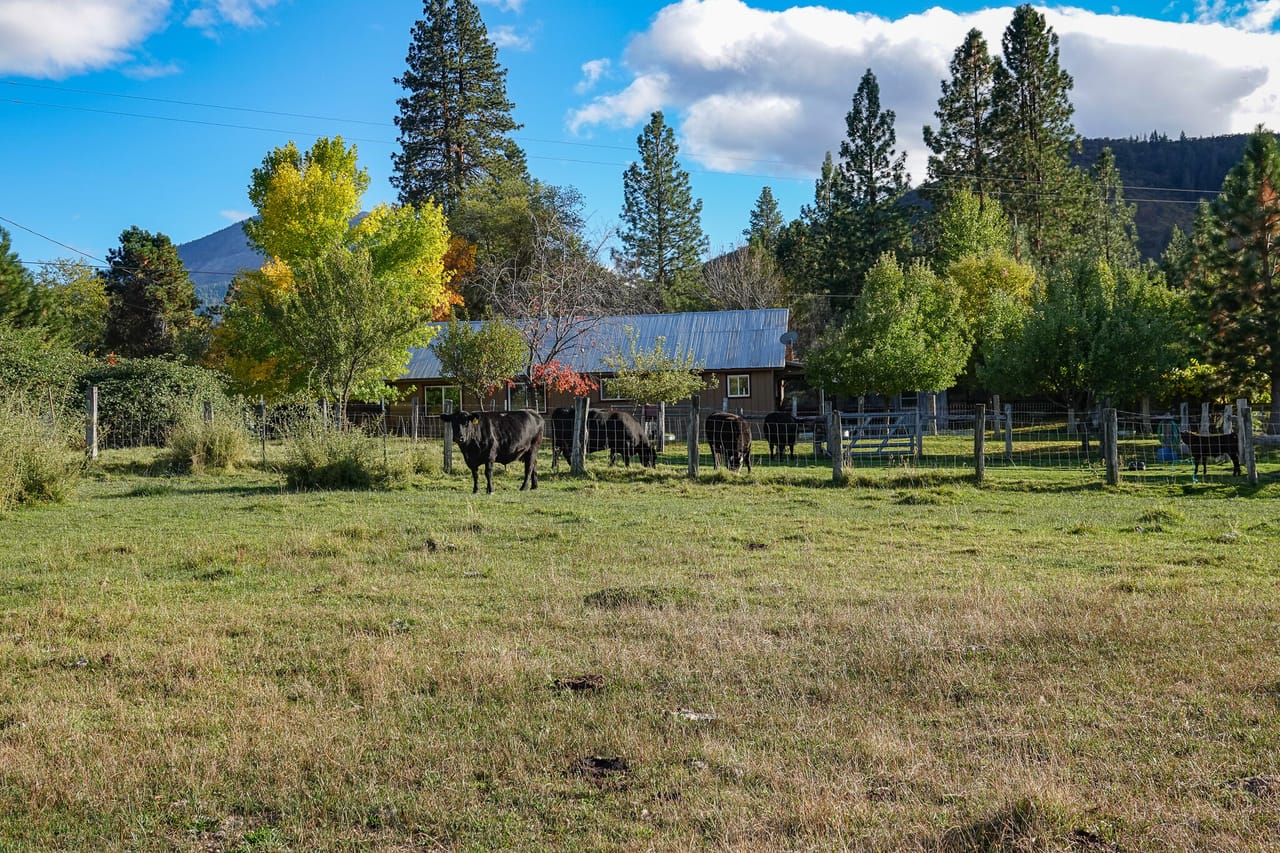 Listing Image 32