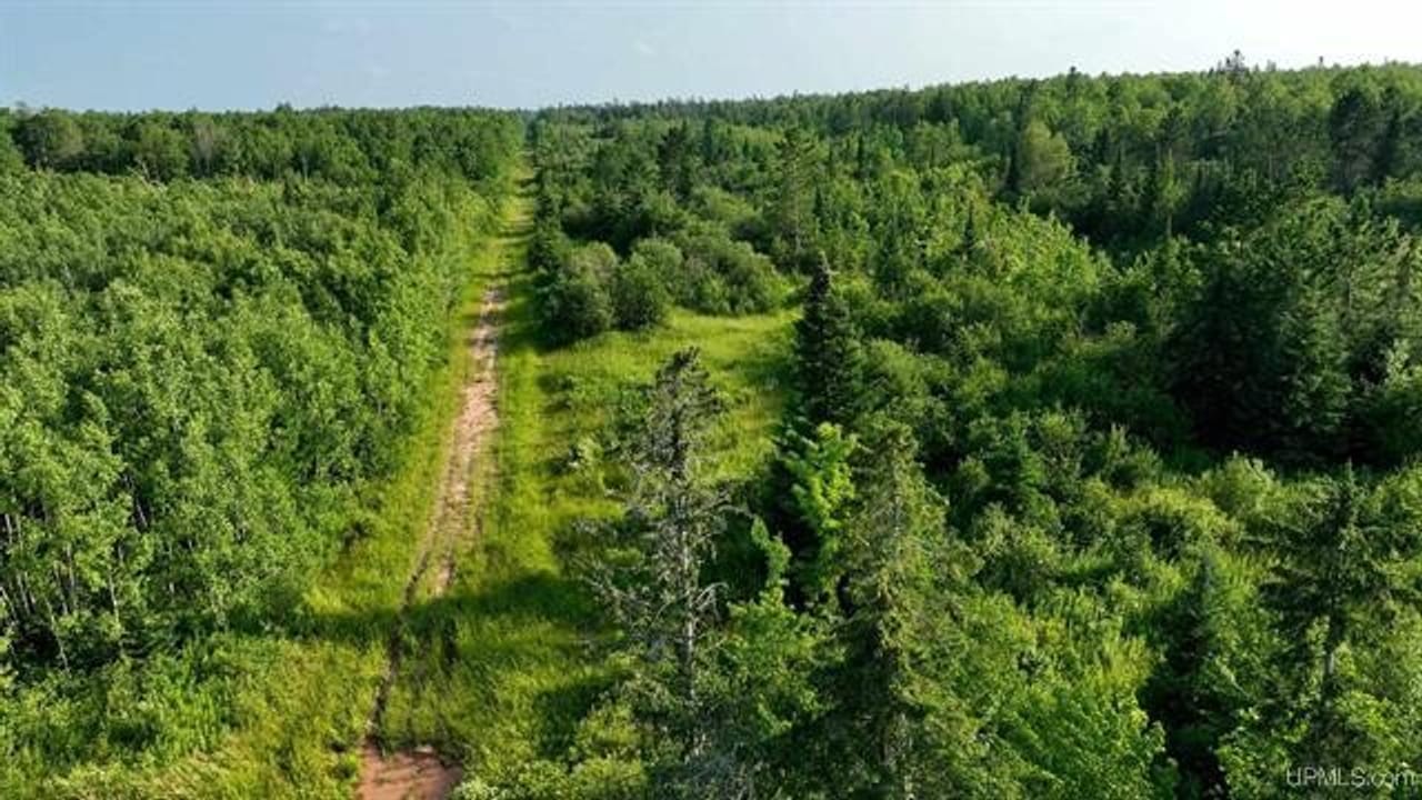 Parcel G 80 Acres 50160045