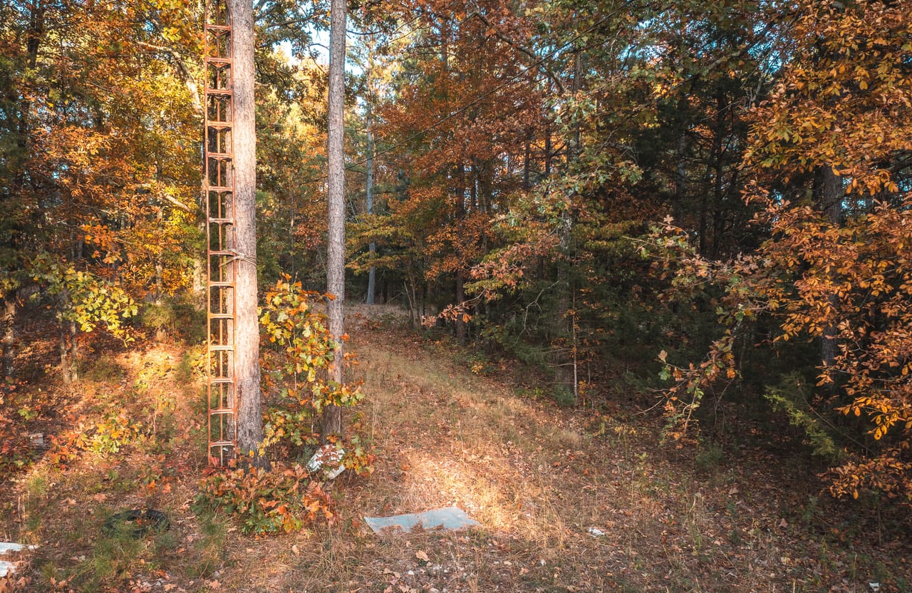 Listing Image 35