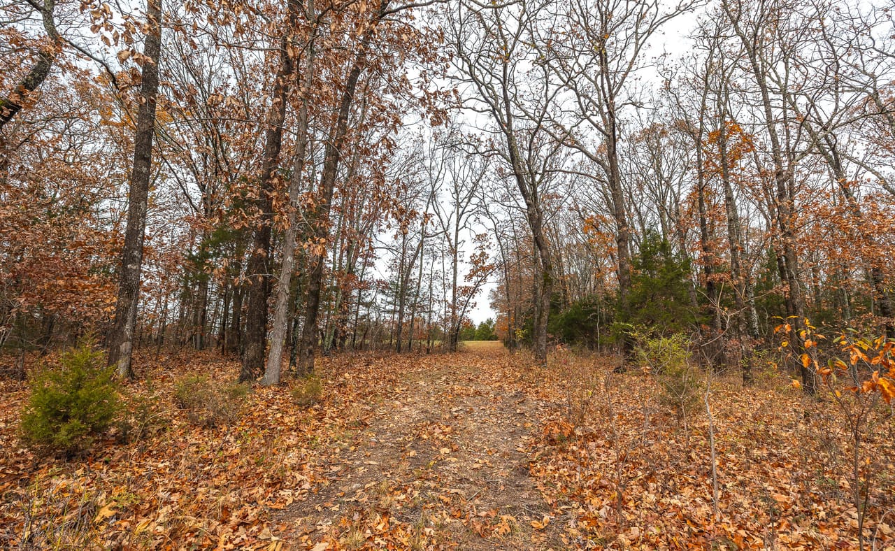 Listing Image 48
