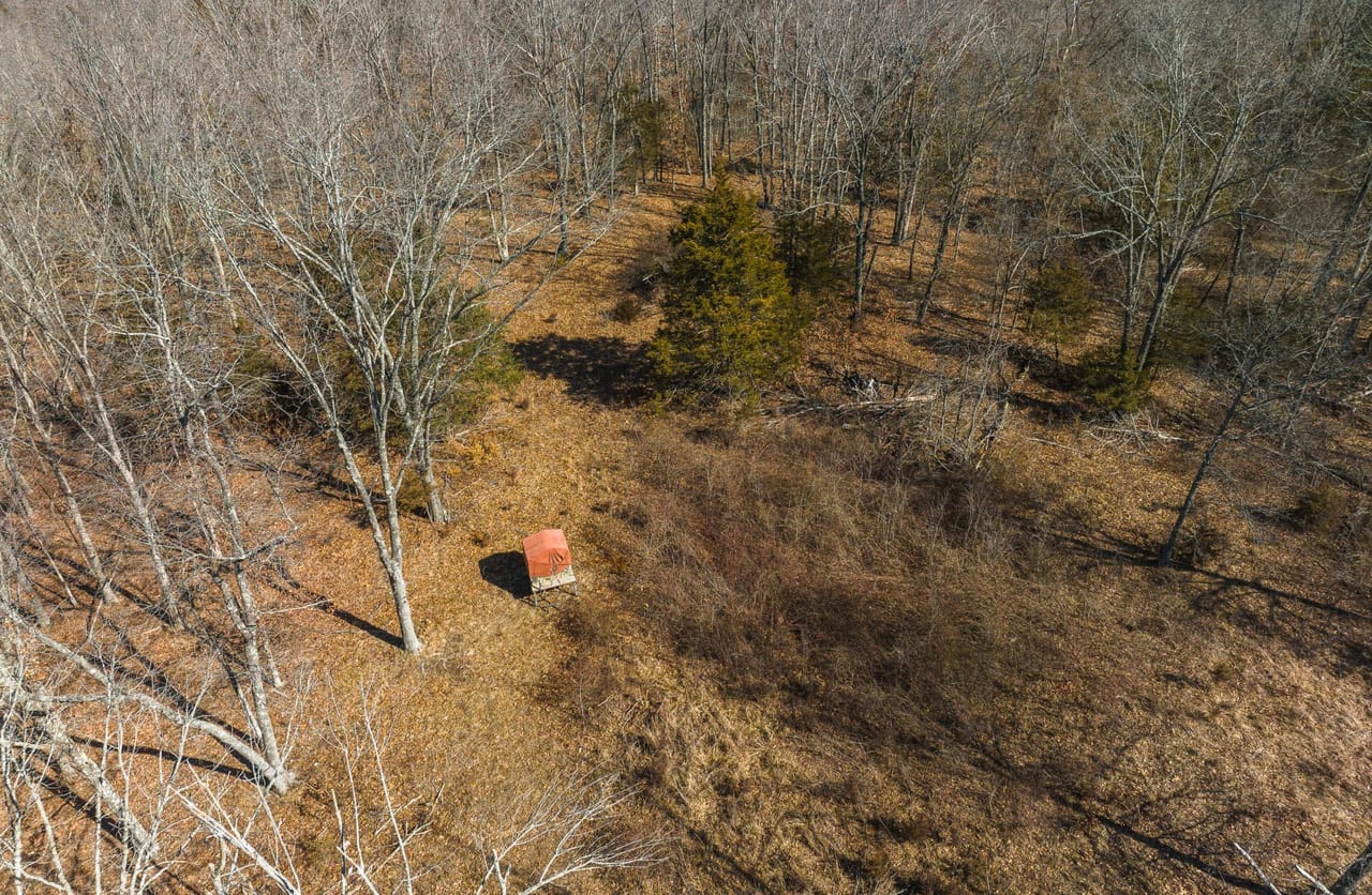 Listing Image 68