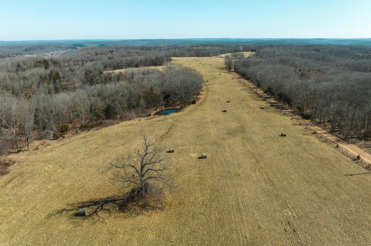 Listing Image 75