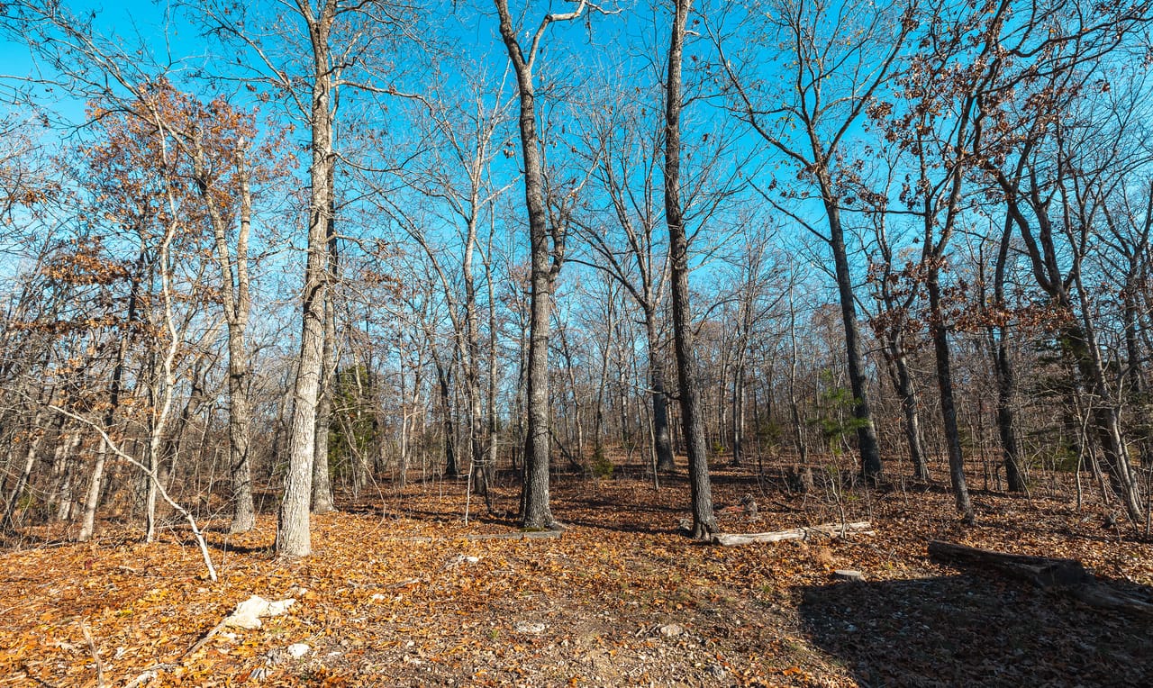 Listing Image 23