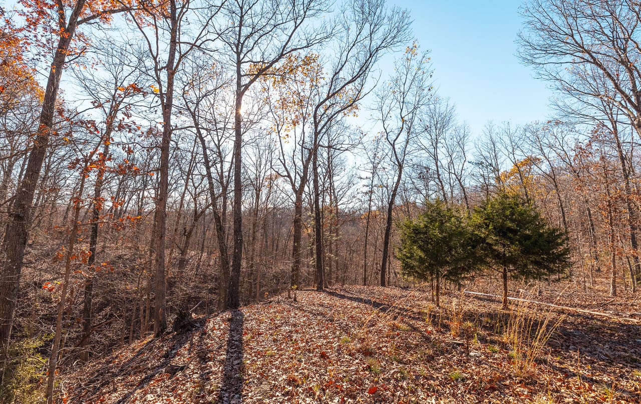 Listing Image 16