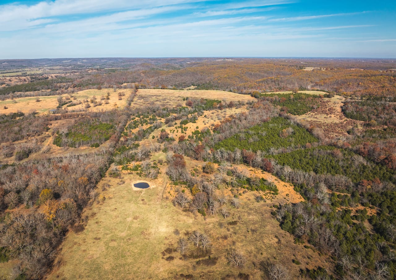 Barry County Cattle Farm-Tract 1