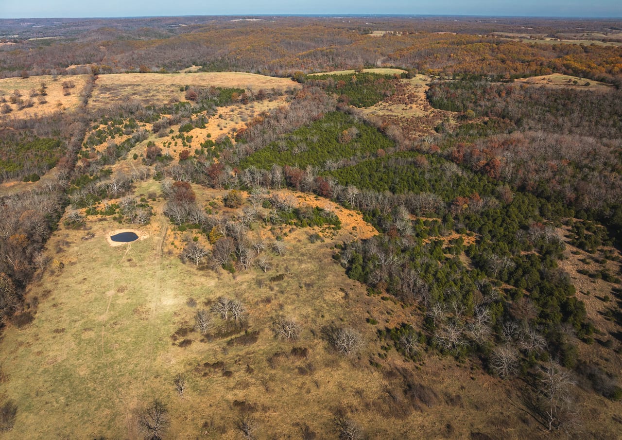 Barry County Cattle Farm-Tract 1