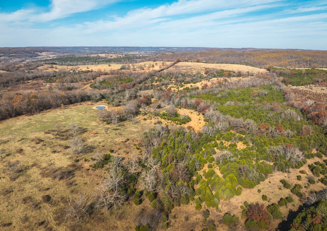 Barry County Cattle Farm-Tract 1