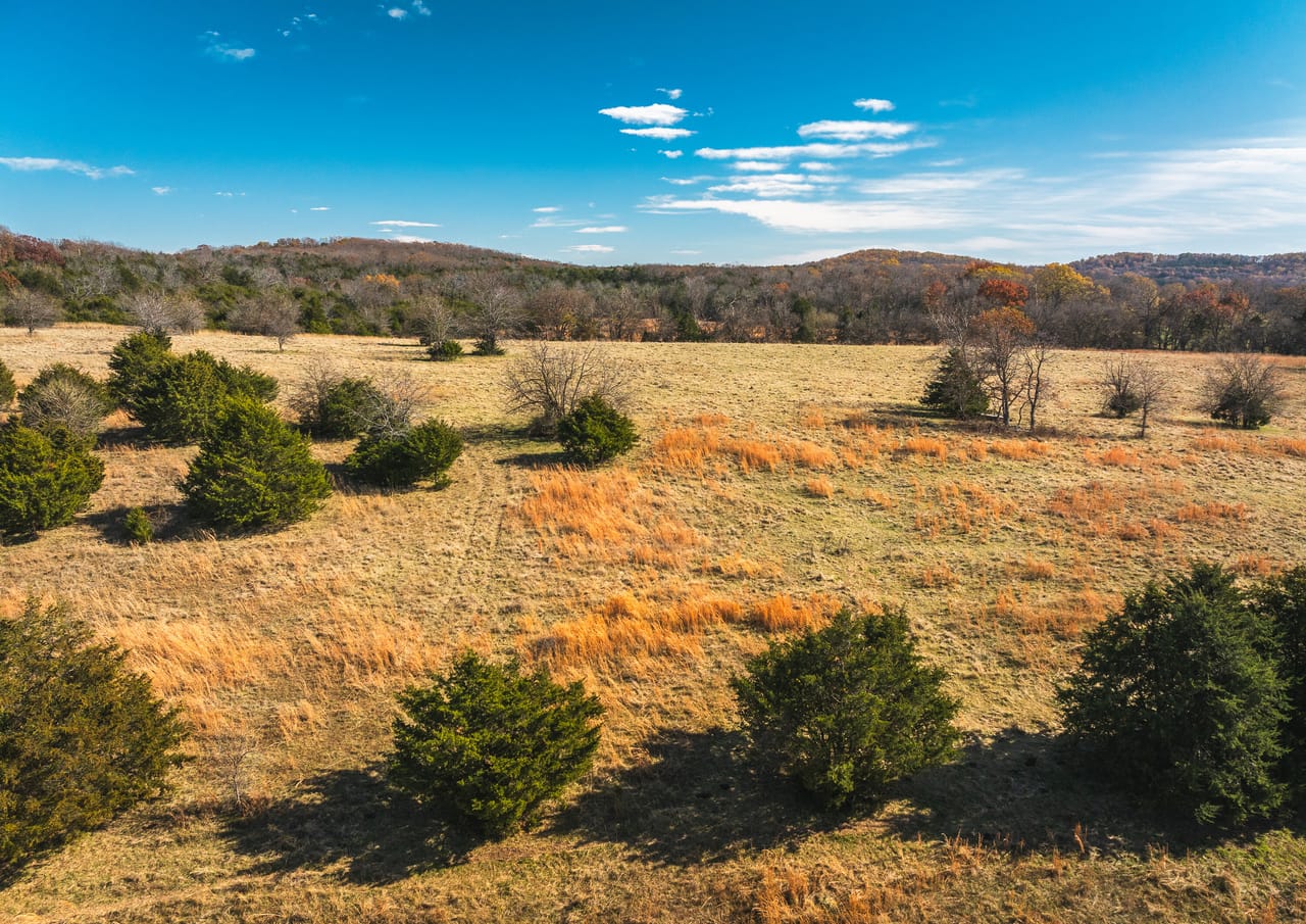 Barry County Cattle Farm-Tract 1