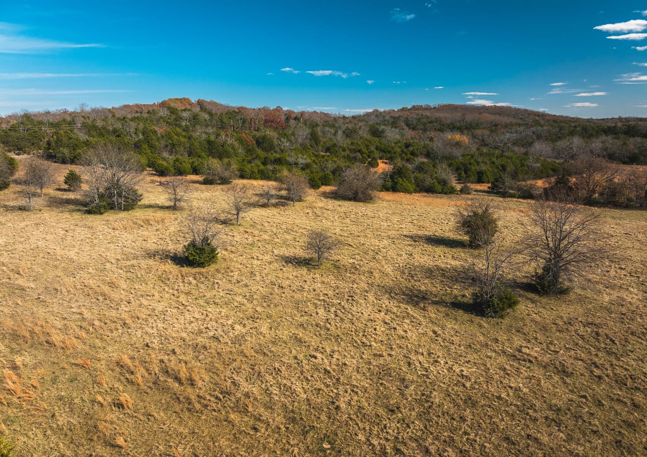 Barry County Cattle Farm-Tract 1