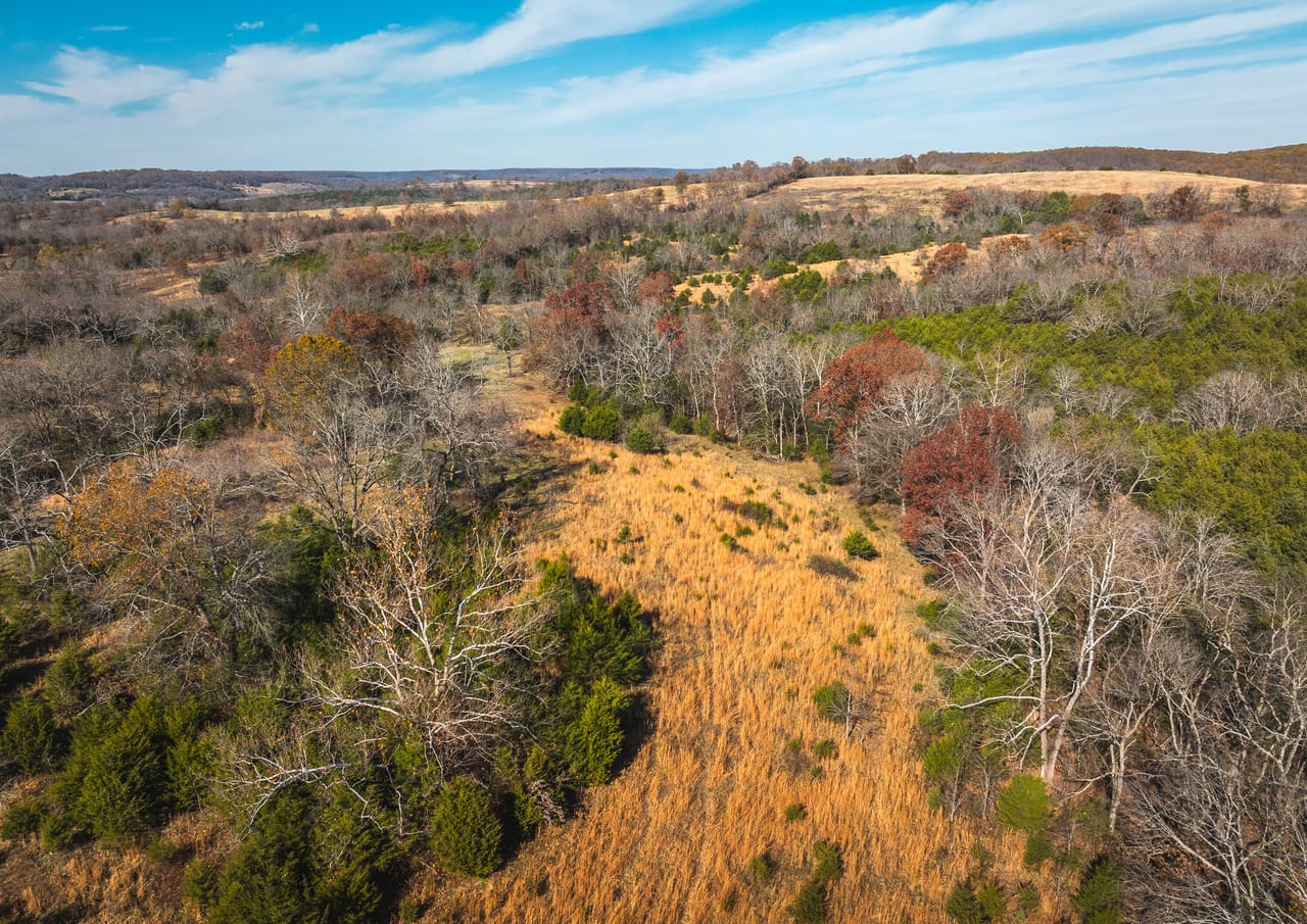 Barry County Cattle Farm-Tract 1