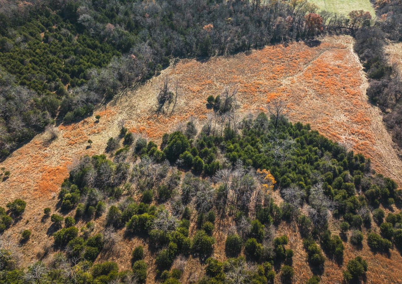 Barry County Cattle Farm-Tract 1