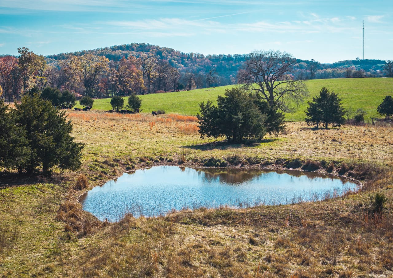 Barry County Cattle Farm-Tract 1