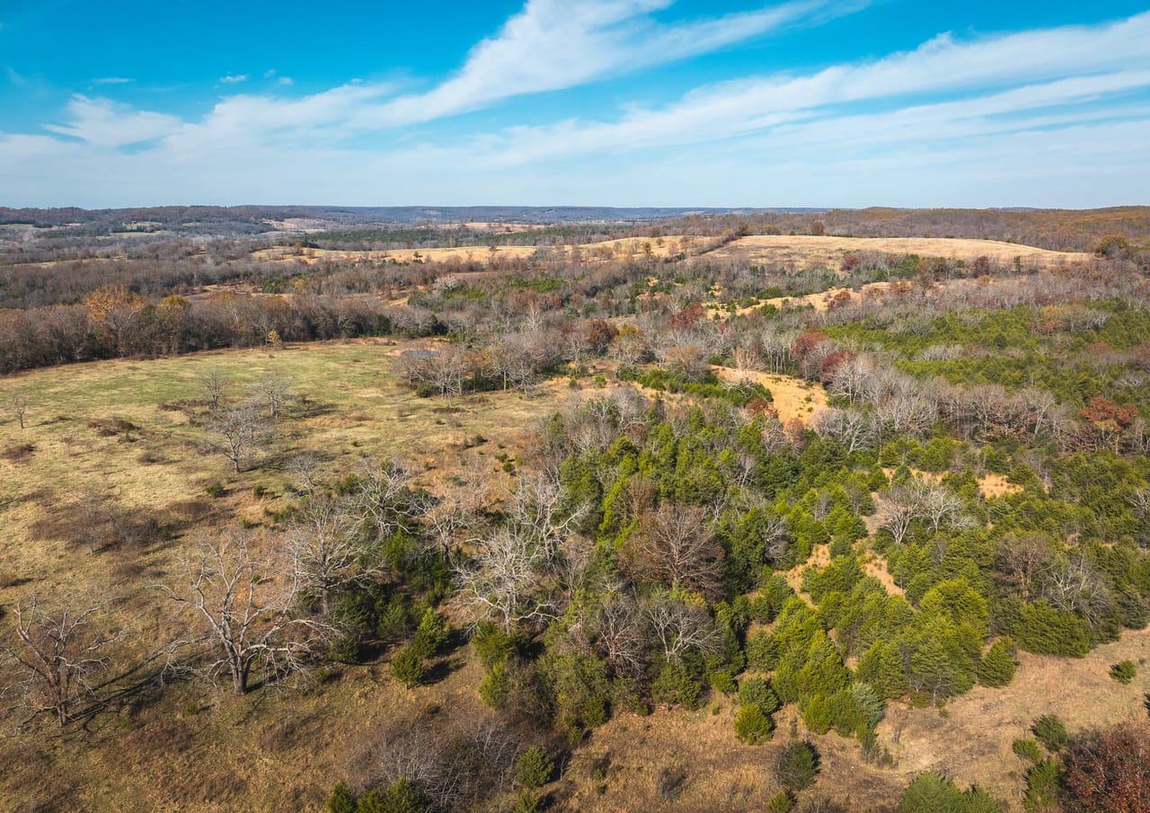 Barry County Cattle Farm-Tract 1