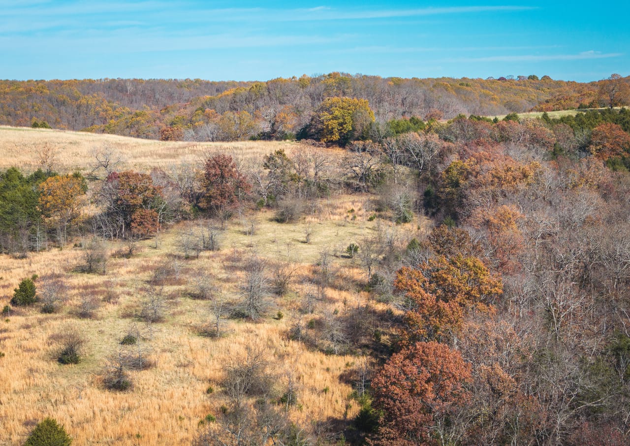 Barry County Cattle Farm-Tract 1