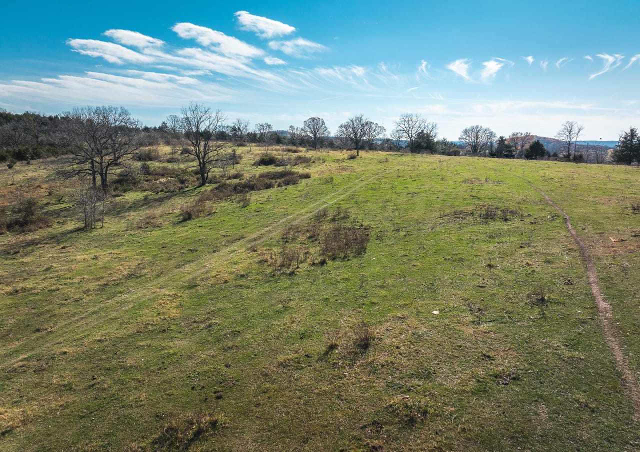 Barry County Cattle Farm-Tract 1