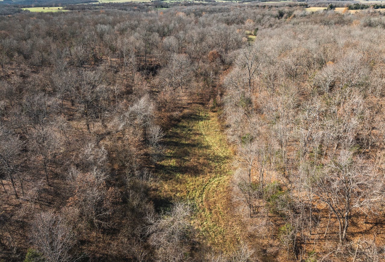 Listing Image 45