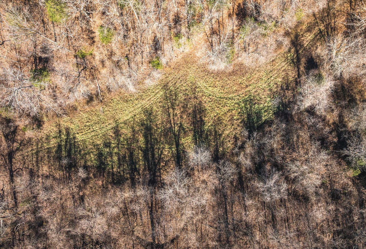 Listing Image 49