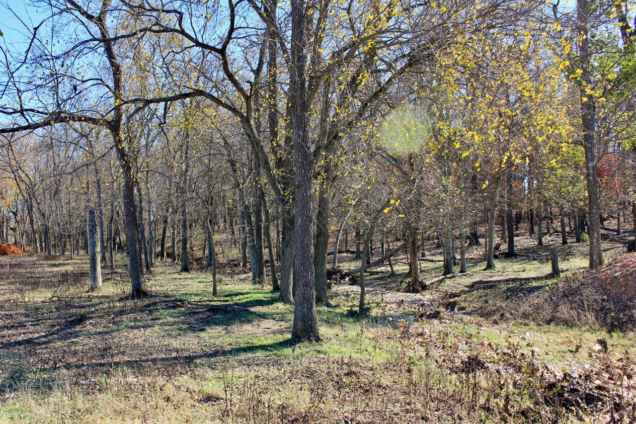 Listing Image 40