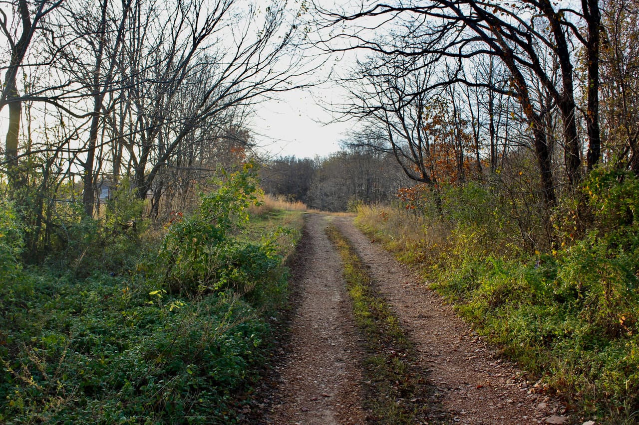 Listing Image 11