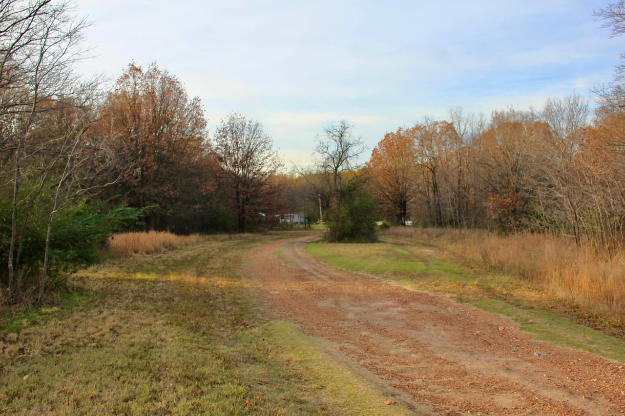 Listing Image 12