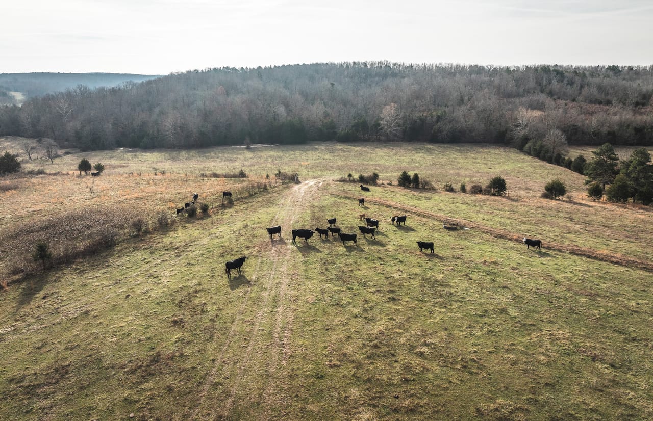 Cavaness Farm Retreat