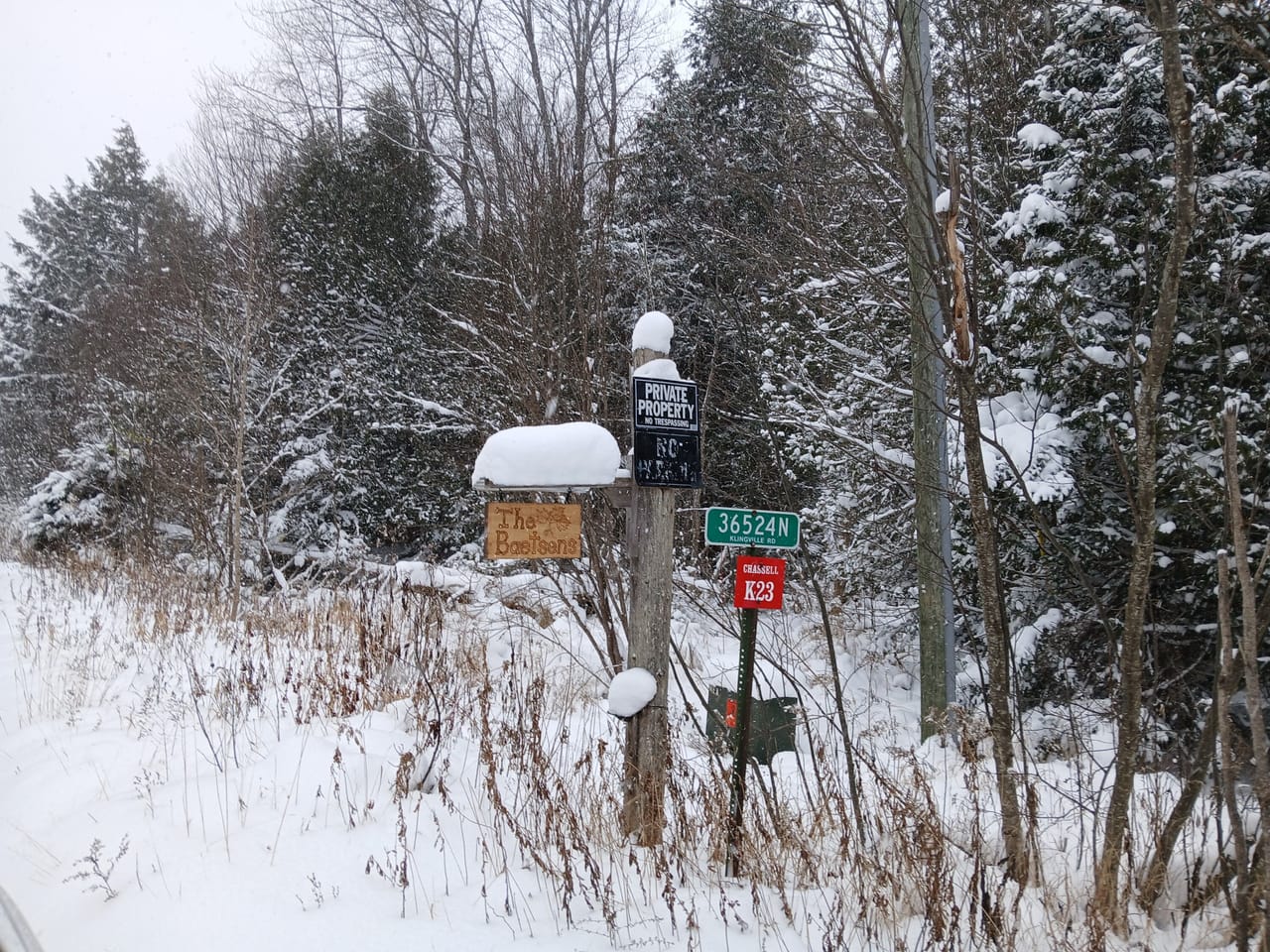 Listing Image 10