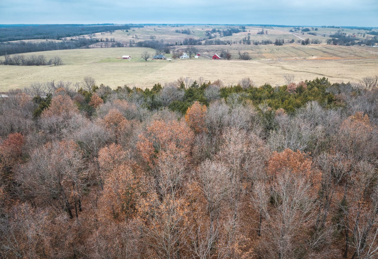 Listing Image 9