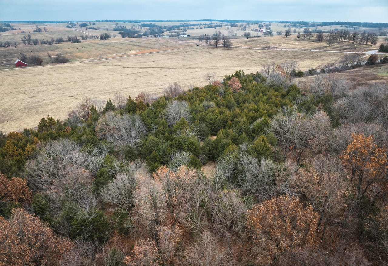 Listing Image 10