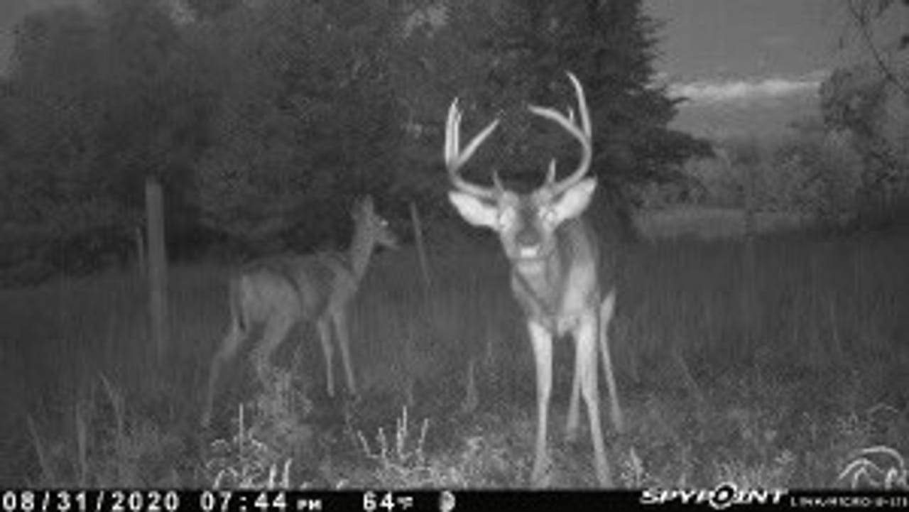 Listing Image 11