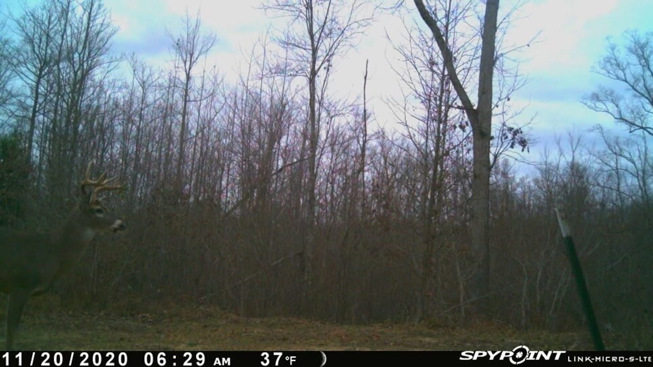 Listing Image 15