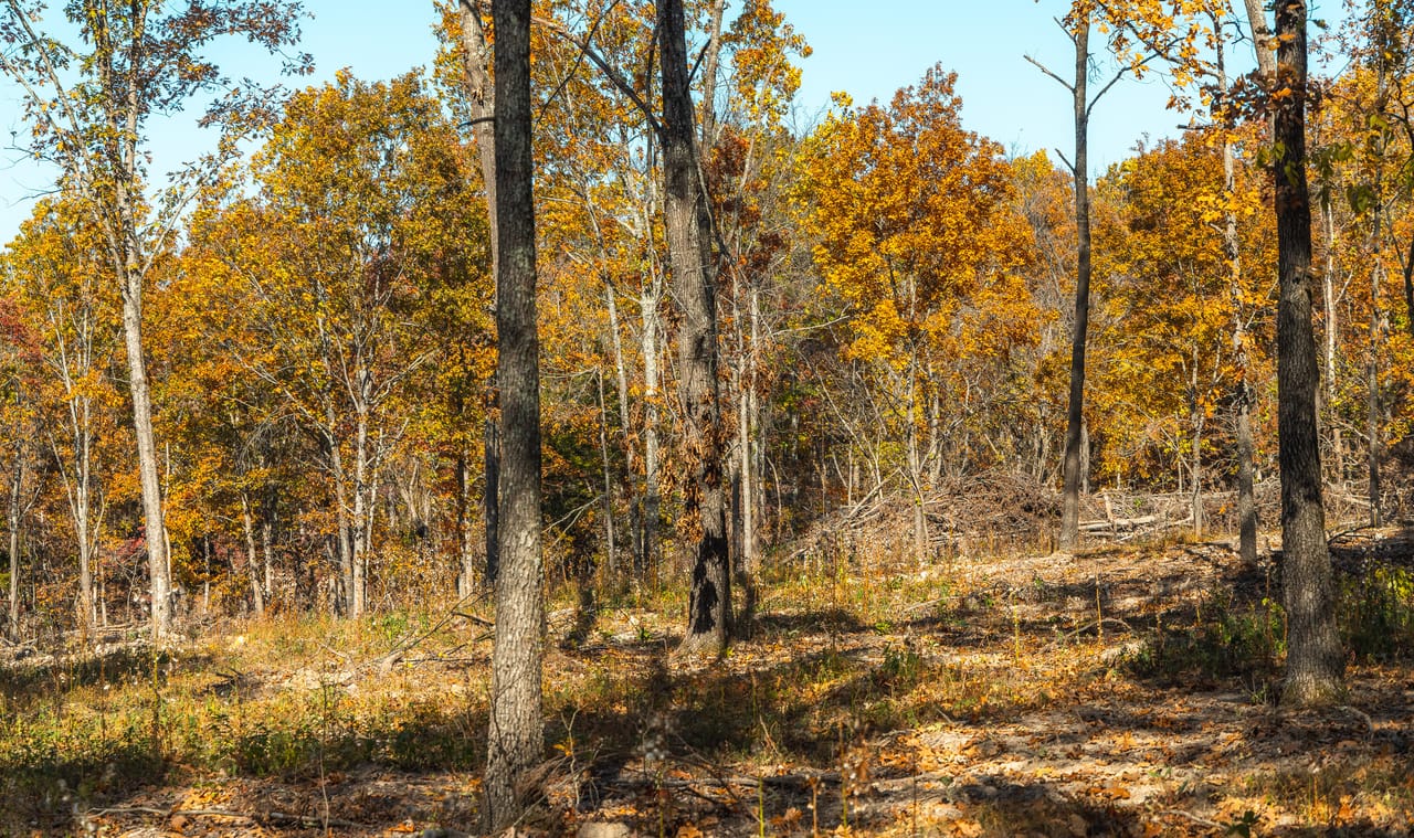 Listing Image 23