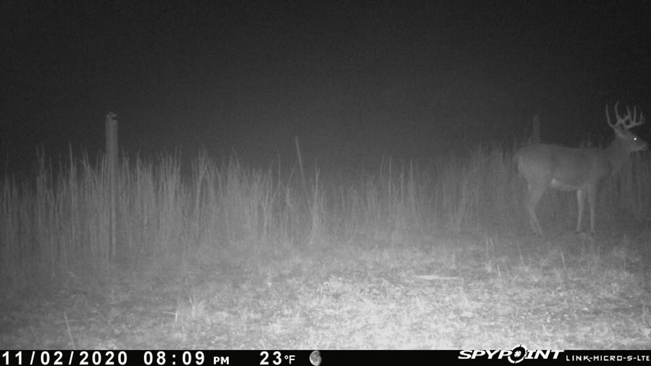 Listing Image 43