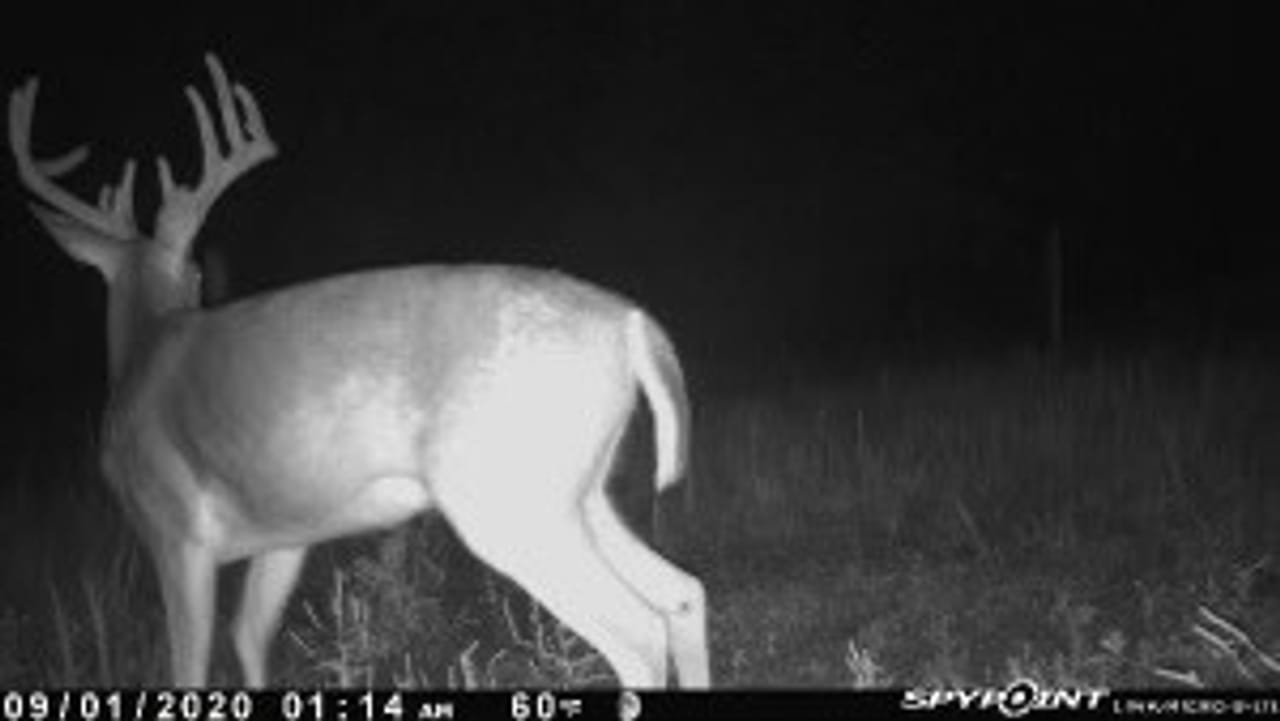 Listing Image 44