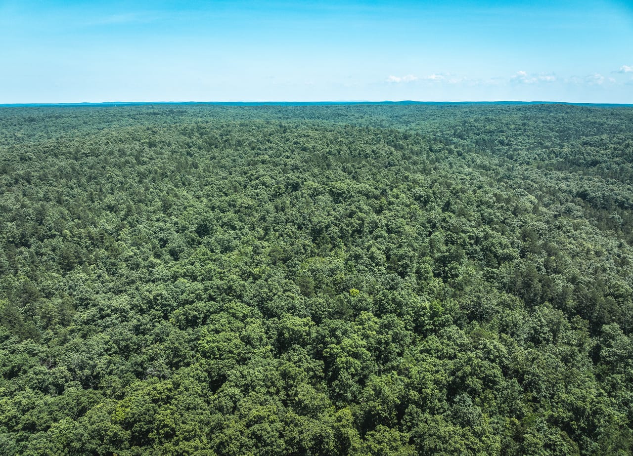 Land & Timber 38