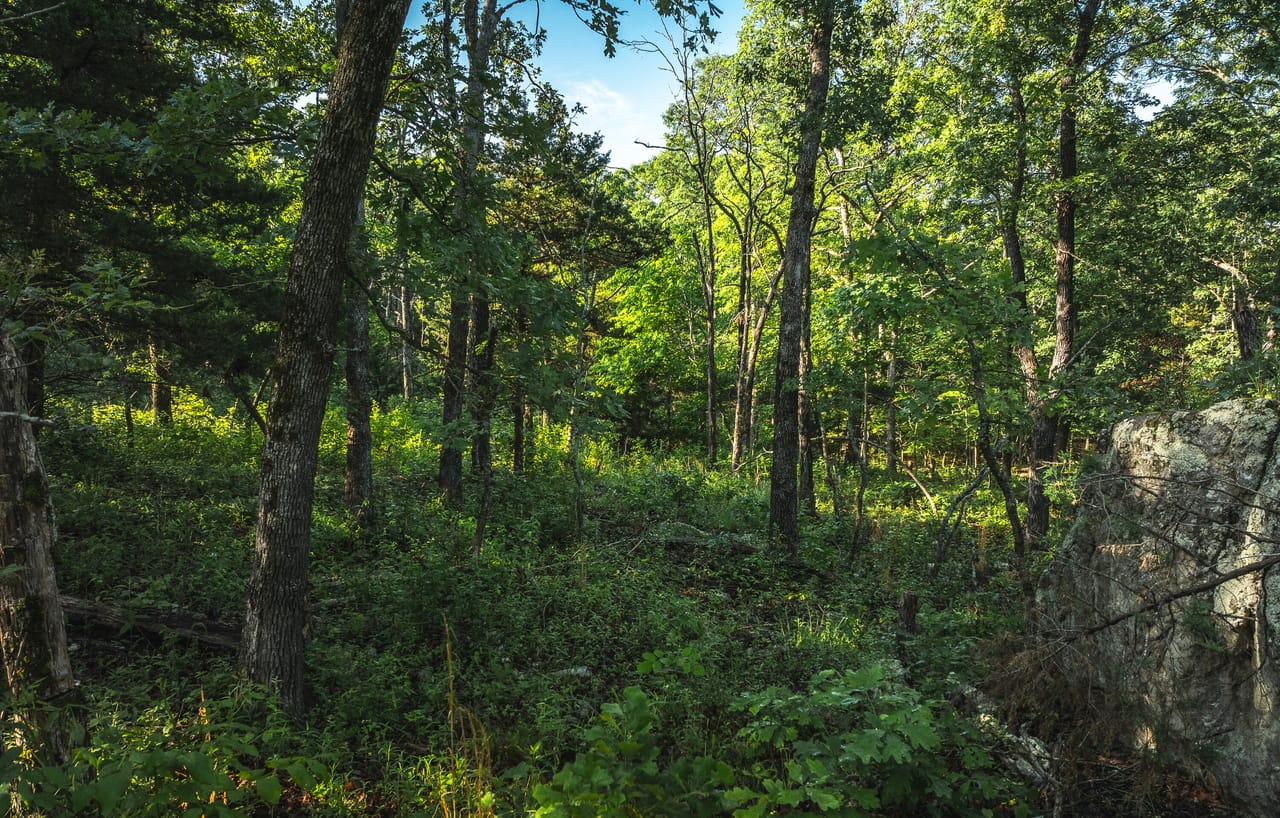 Listing Image 86