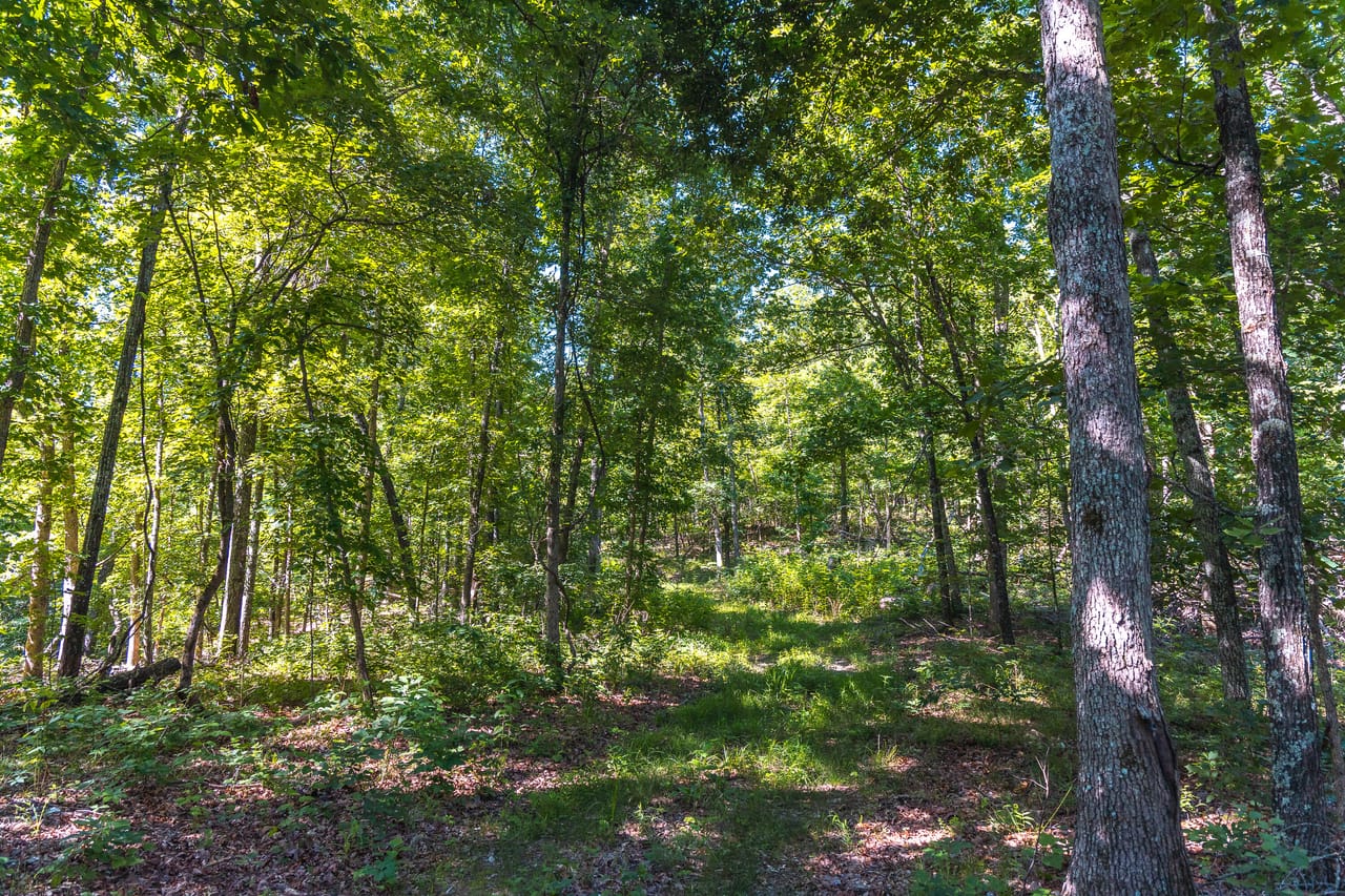 Listing Image 88