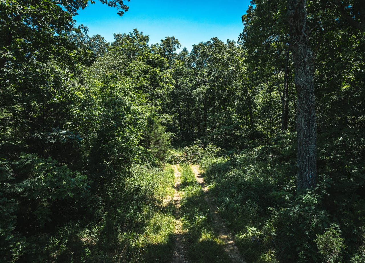 Listing Image 105