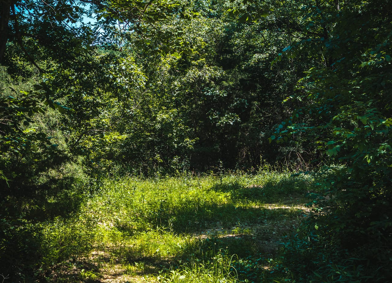 Listing Image 111