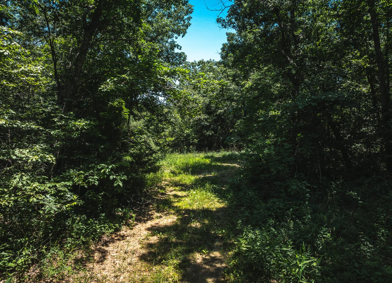Listing Image 79