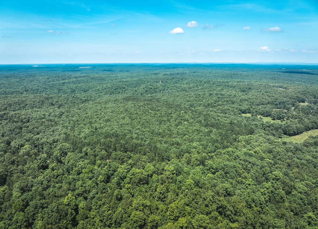 Land & Timber 60