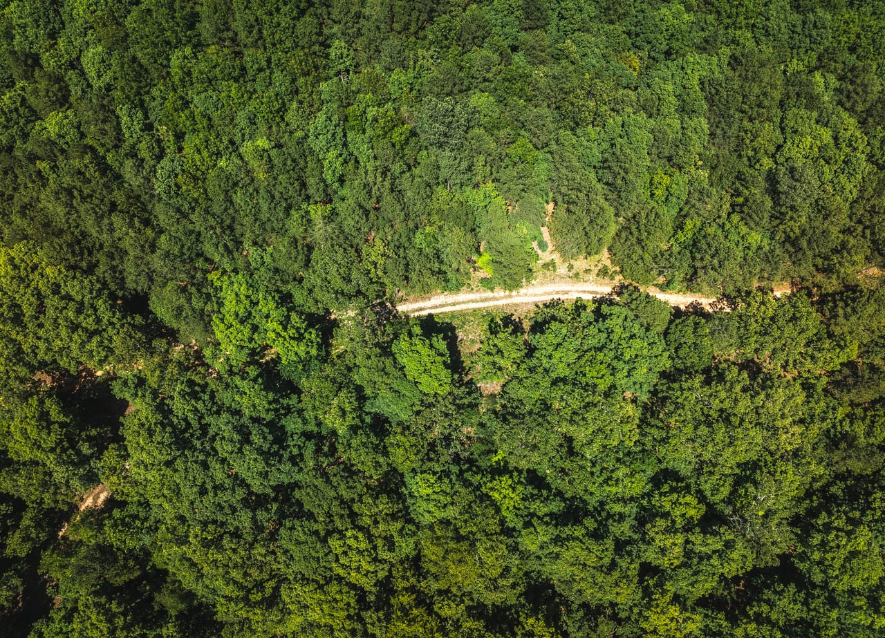 Land & Timber 60