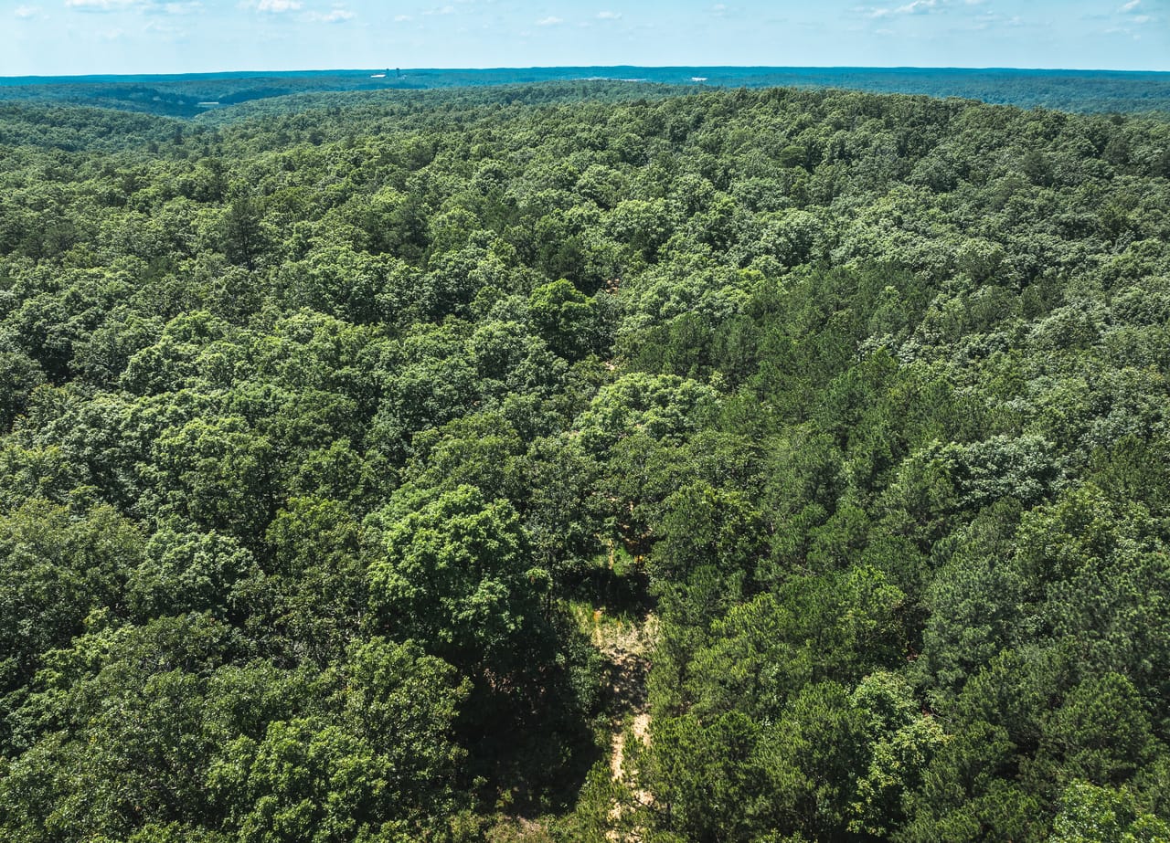 Land & Timber 60