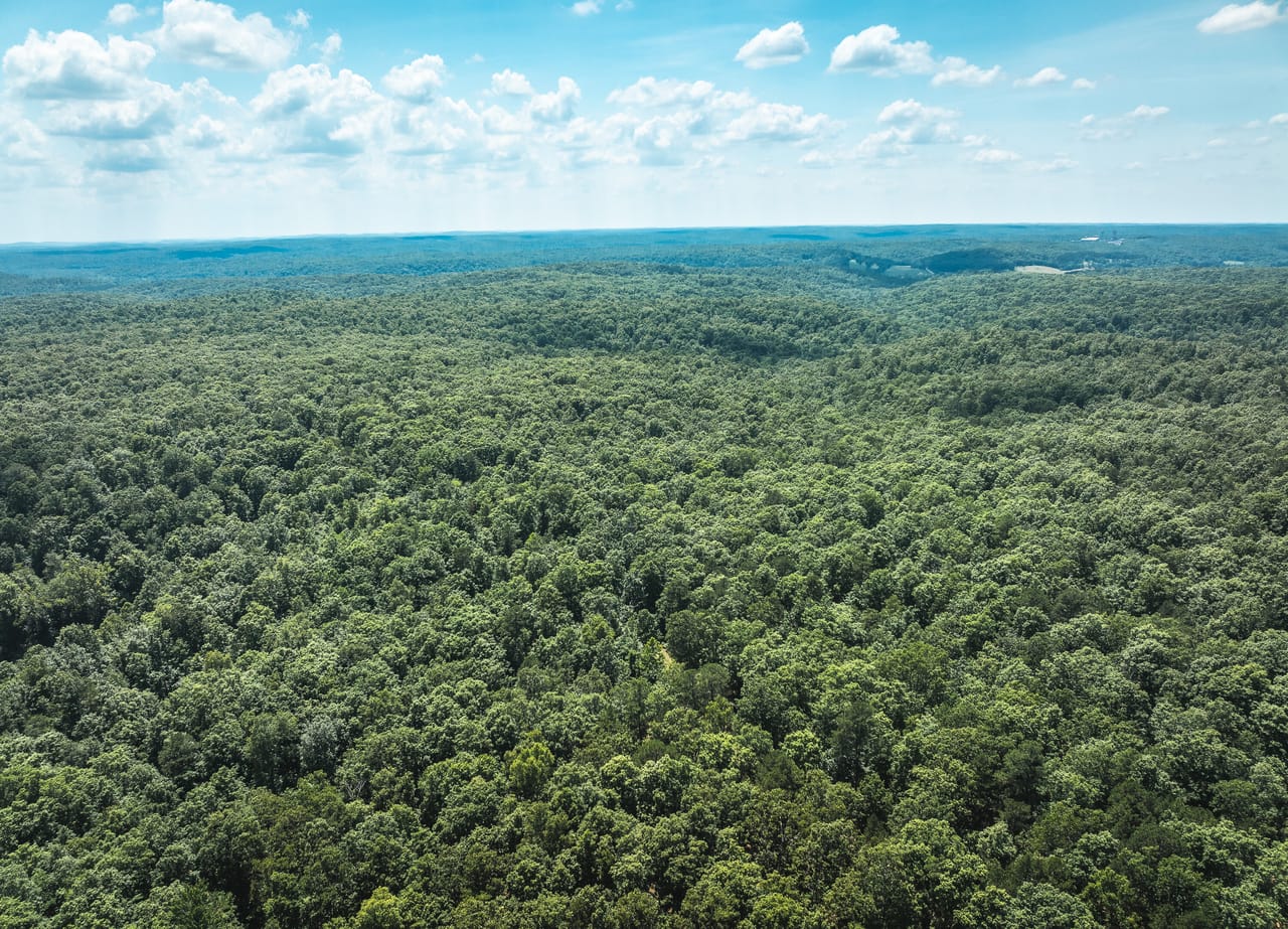 Land & Timber 60