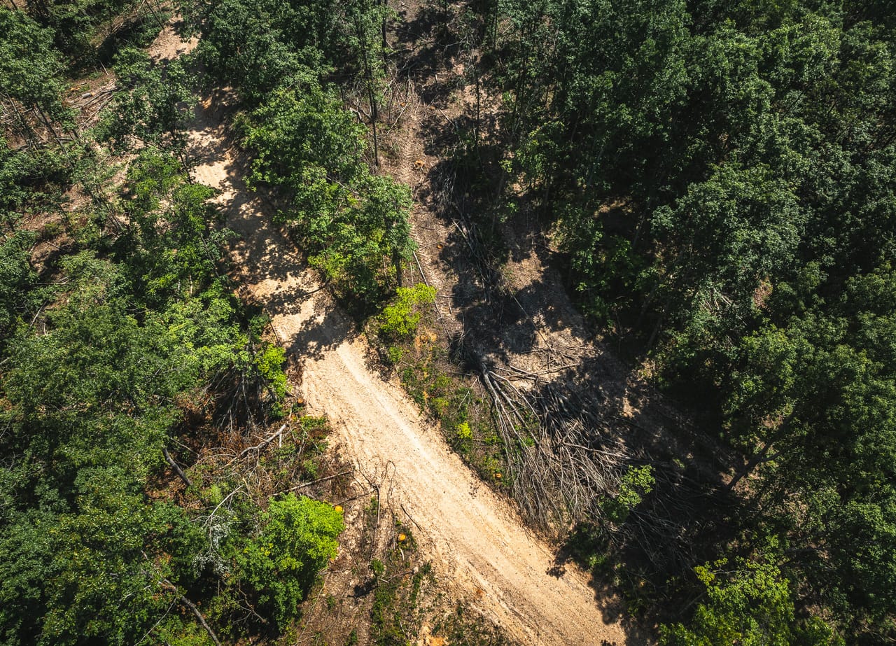 Land & Timber 49